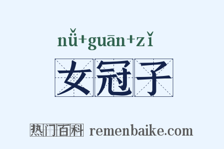 女冠子是什么意思的图片